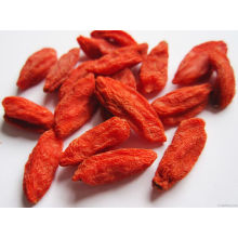 Low-Pestizid Goji Berry aus China Herkunft (160/220/350)